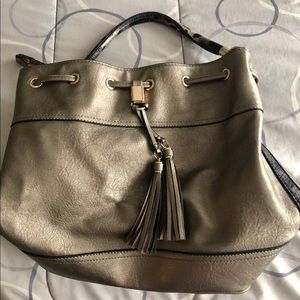 Large Metallic Purse